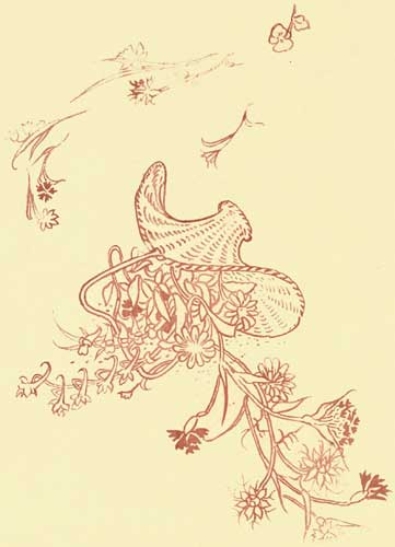 Frontispiece from A Floral Fantasy in an Old English Garden.
